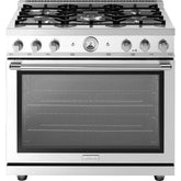 Superiore Next 30-Inch Dual Fuel Freestanding Range in Stainless Steel - RN301SPS_S_